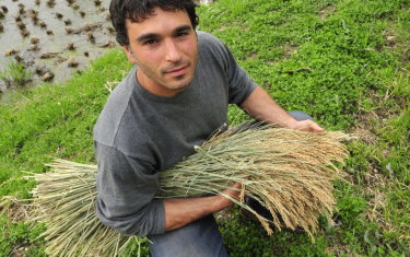 photo of Ben Falk