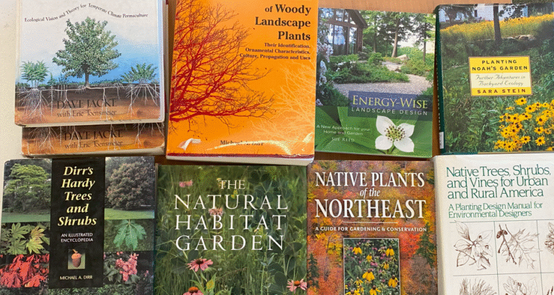 photo of multiple books on table