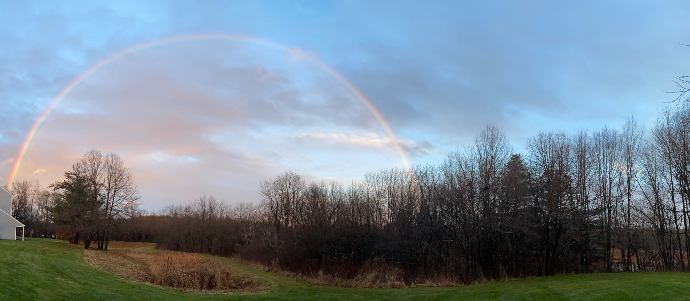 Rainbow over open forested space.