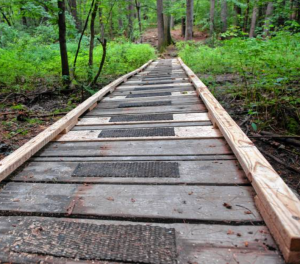 Photo of trail improvement completed in summer 2023.