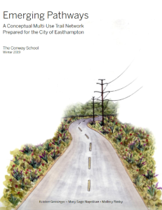 Cover of Emerging Pathways project