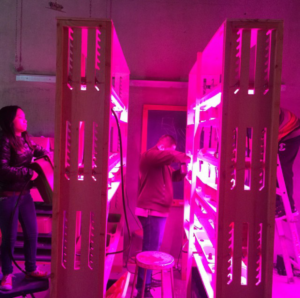 Students in the Guns 2 Gardens program plant greens in the hydroponic garden they designed and built. The students enjoyed the harvest of the first crop in class, and will experiment with creating value-added products using the second crop.