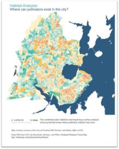This map shows the 1900 acres of permeable surfaces in Portland that are potential native plant and pollinator habitat (green is better for pollinators, orange lower value).