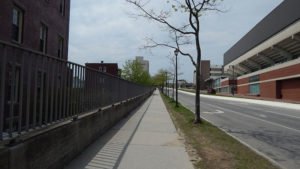 The possibilities: Anywhere that there is a permeable surface, there are native species that could be growing.