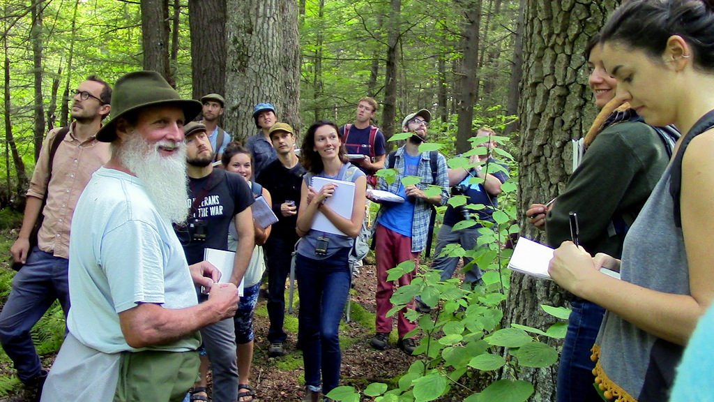 An annual September trip to the black gum swamp with ecologist Tom Wessels.
