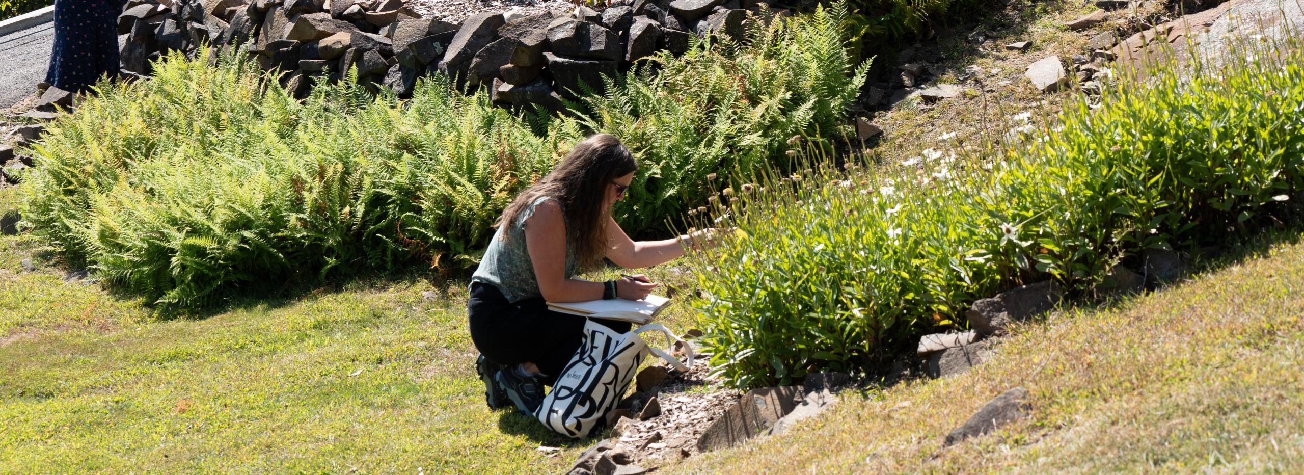 A student sketching plants during a field trip